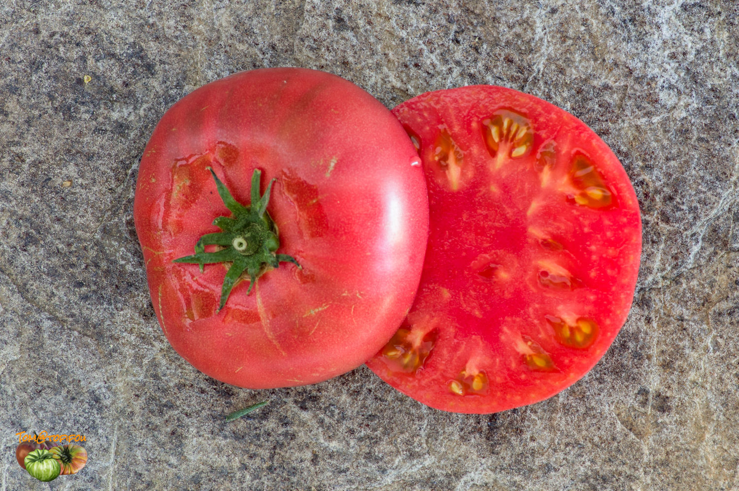 Brandywine Tomato, Sudduth Strain Heirloom Seeds