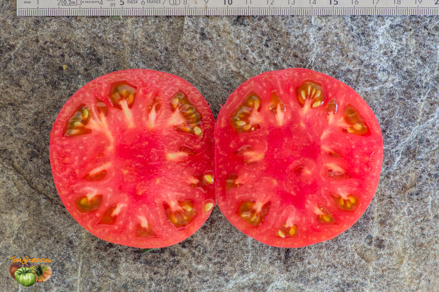 Brandywine, Sudduth Strain - Tomato