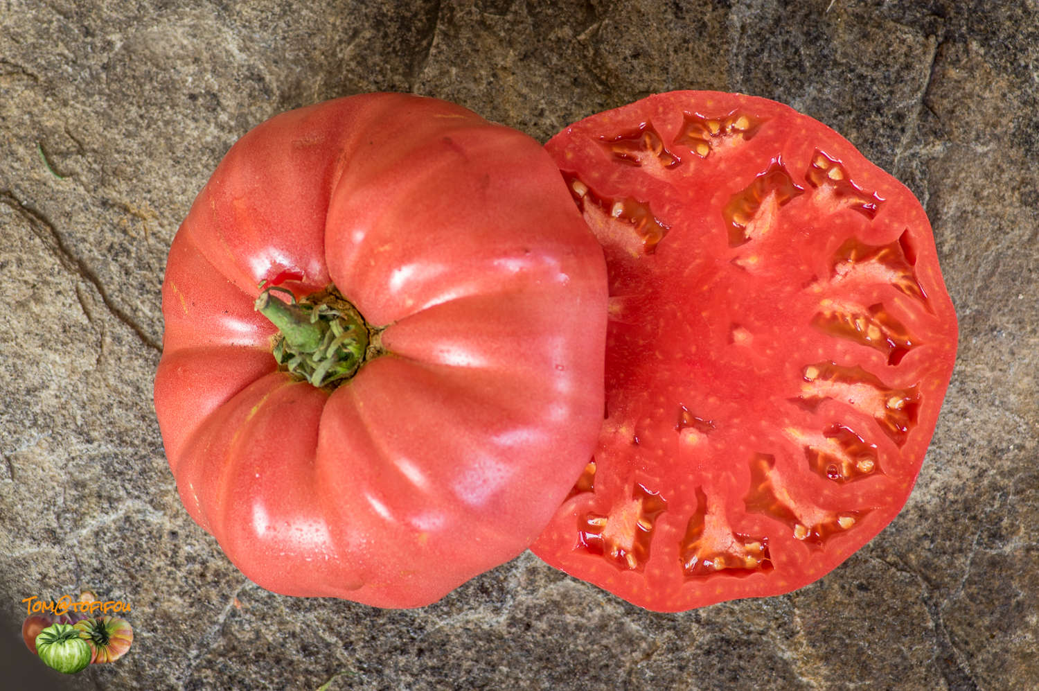 Chudo Ziemli Beefsteak Tomato