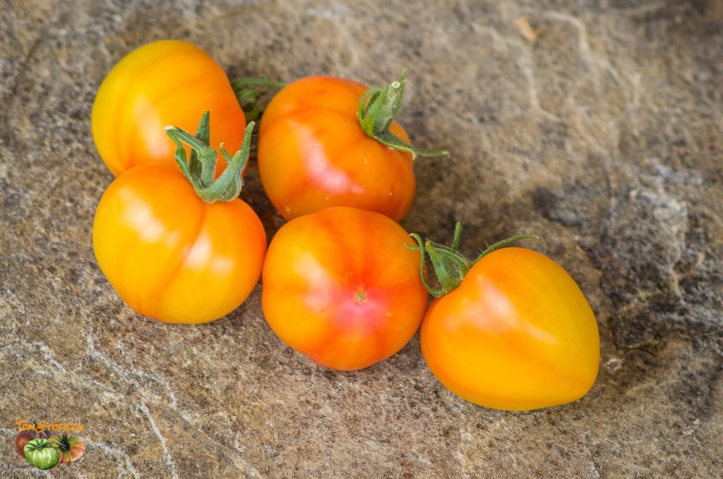 Vintage Rainbow Glass Red/Yellow Tomato offers FLAWLESS